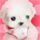 家常卤鸡脖子的做法